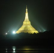 The Executive Monk